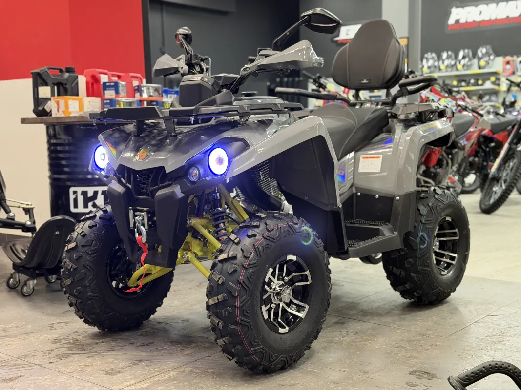 Квадроцикл PROMAX RENEGADE 250 LONG WINCH PRO